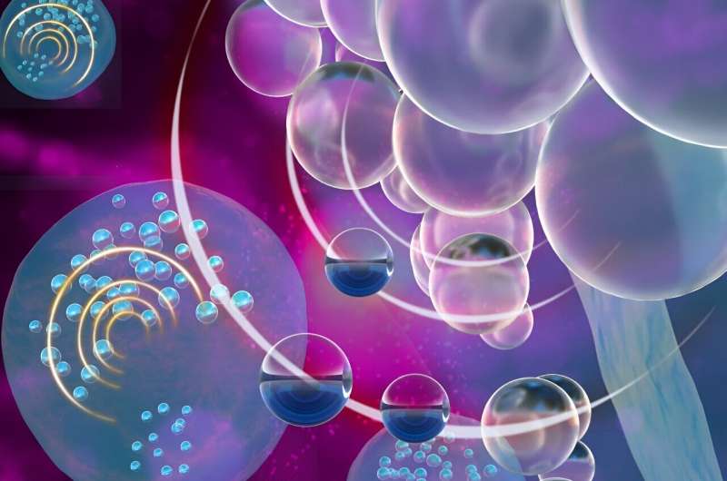Tiny bubbles could reveal immune cell secrets and improve treatments